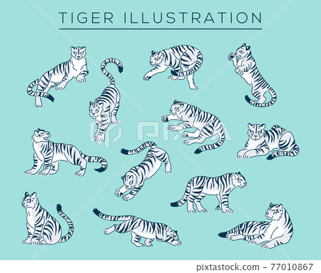 Hand-painted tiger illustration set Hand-painted tiger illustration set 77010867