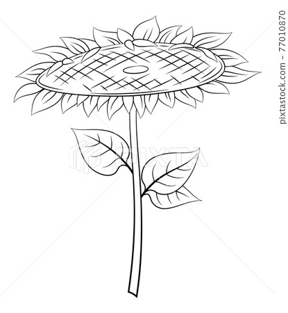 Sunflower with Leaves Sunflower with Leaves 77010870