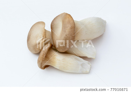 King trumpet white background King trumpet white background 77010871