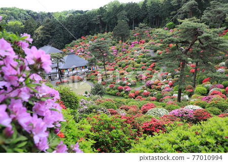 Shiofune Kannonji Temple Gomadou Shiobune，青梅市，東京 77010994