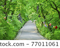 Spring at Gapsa Temple in Gyeryongsan Mountain 77011061