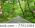 Spring at Gapsa Temple in Gyeryongsan Mountain 77011064