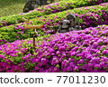 Spring at Cheongju Munui Cultural Heritage Complex 77011230