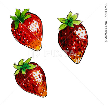 Watercolor strawberry with leafs closeup isolated on white background Watercolor strawberry with leafs closeup isolated on white background 77011256