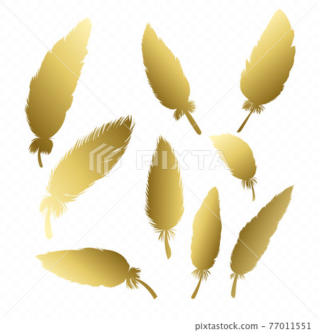 Gold feather collection. Golden quill feathers, elegant silhouette, simple editable colour. Vector illustration. 77011551