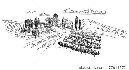 Vineyard hand drawn scetch. Landscape rural countryside France, Italy, Mediterranean vintage style. Vector illustration 77011572