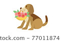 Dog illustration dog dog animal beagle dog 77011874