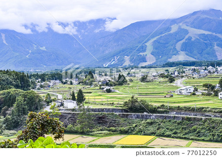 長野縣白馬村的風景 77012250