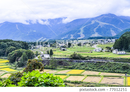 長野縣白馬村的風景 77012251