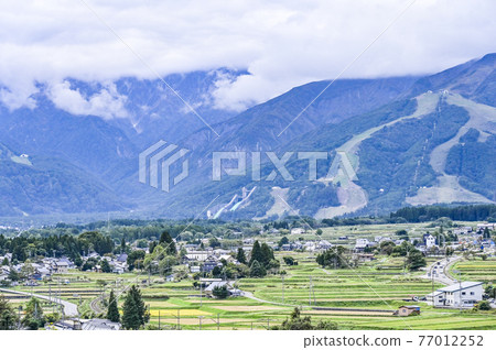 長野縣白馬村的風景 長野縣白馬村的風景 77012252