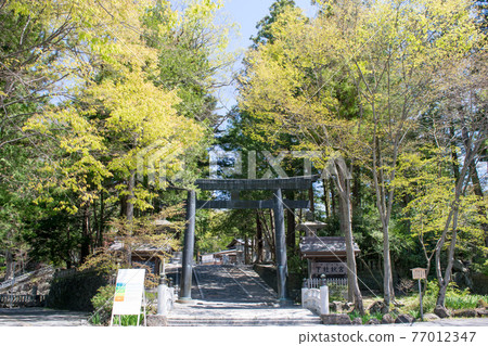 長野縣Su訪大社神宮秋宮 長野縣Su訪大社神宮秋宮 77012347