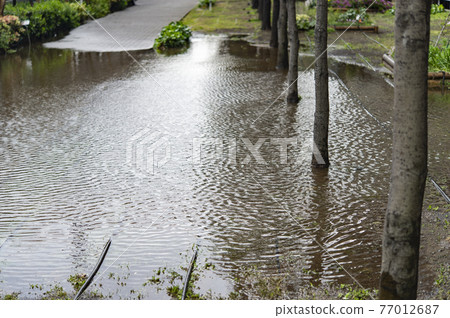 大雨後道路被淹沒 77012687