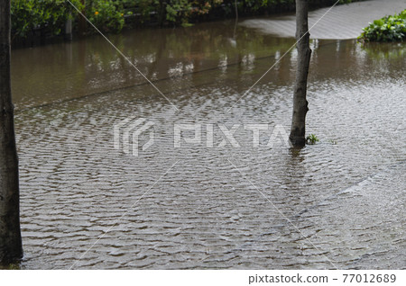 大雨後道路被淹沒 大雨後道路被淹沒 77012689