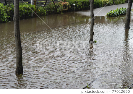 大雨後道路被淹沒 77012690