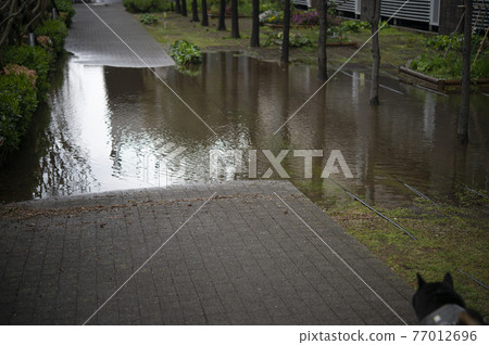 Road submerged after heavy rain 77012696
