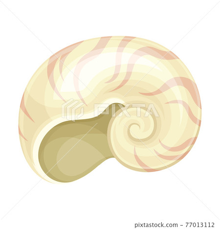 Seashell as Hard Marine Snail Shell Vector Illustration Seashell as Hard Marine Snail Shell Vector Illustration 77013112