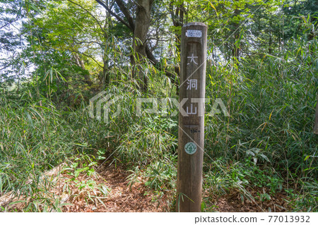 The summit of Mt. Obora (Ridge of Mt. Minami Takao) 77013932