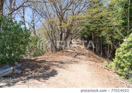 Ridge heading to Mt. Omochi (Oku Musashi) 77014033