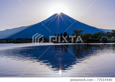 （靜岡）狸湖的鑽石富士 77014490