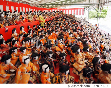 須佐之尾神社雛祭 77014695