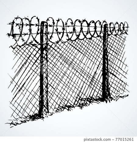 Barbed wire. Vector drawing Barbed wire. Vector drawing 77015261