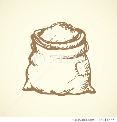 Bag. Vector drawing 77015277