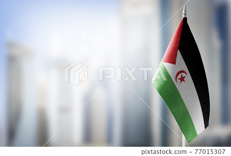 Patch of the national flag of the Sahrawi on a white t-shirt Patch of the national flag of the Sahrawi on a white t-shirt 77015307