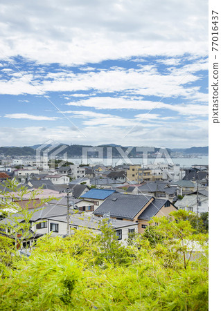 Scenery from Hasega Temple 77016437