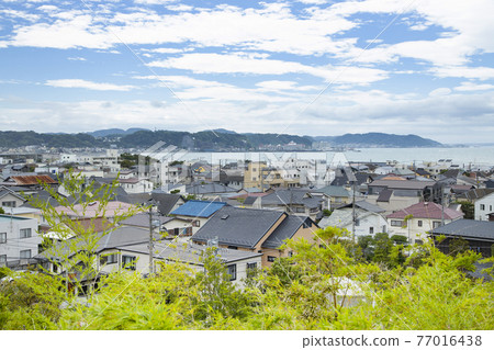 Hasega寺的風景 77016438