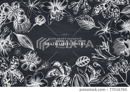 Floral design with chalk laelia, feijoa flowers, glory bush, papilio torquatus, cinchona, cattleya Floral design with chalk laelia, feijoa flowers, glory bush, papilio torquatus, cinchona, cattleya 77016760