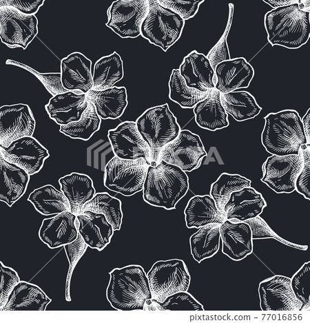 Seamless pattern with hand drawn chalk allamanda Seamless pattern with hand drawn chalk allamanda 77016856