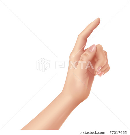 Woman hand on white background, realistic design vector illustration Woman hand on white background, realistic design vector illustration 77017665
