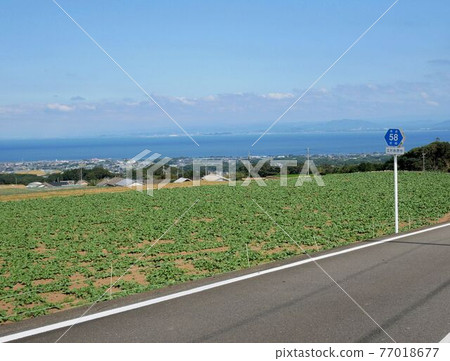 長崎縣道58號相島原線(長崎縣島原半島) 長崎縣道58號相島原線(長崎縣島原半島) 77018677