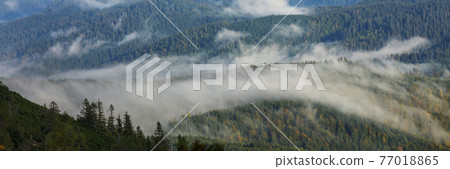 Carpathian mountains panorama 77018865