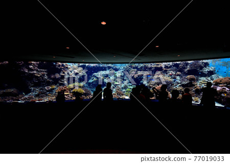 Churaumi Aquarium 77019033