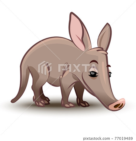 Aardvark vector illustration. A cartoon illustration of a aardvark. 77019489