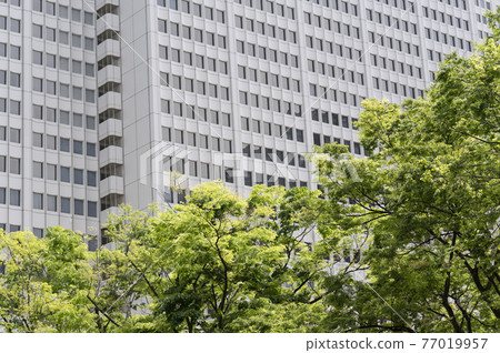 Urban landscape of fresh greenery and skyscrapers Urban landscape of fresh greenery and skyscrapers 77019957