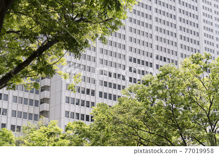 Urban landscape of fresh greenery and skyscrapers Urban landscape of fresh greenery and skyscrapers 77019958