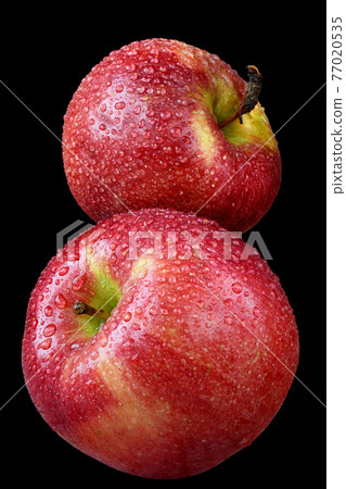 Two red wet apple isolated on a black Two red wet apple isolated on a black 77020535