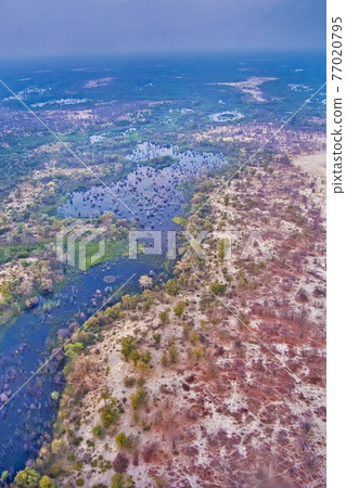 Okavango Delta, Okavango Wetland, Botswana 77020795