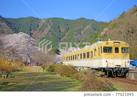 安諾花站公園 77021045