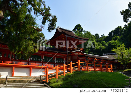 從春日大社出發 77021142