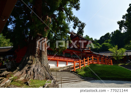 從春日大社出發 從春日大社出發 77021144