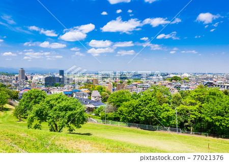 Suburban residential area with blue sky Suburban residential area with blue sky 77021376
