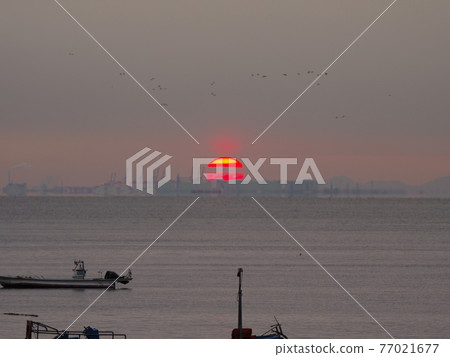 Yeongjongdo. Sunrise. Geojampo. Wharf. Shark Tail Island Yeongjongdo. Sunrise. Geojampo. Wharf. Shark Tail Island 77021677