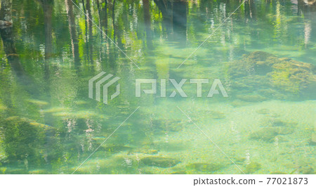 Marine reserve canal, emerald crystal clear lake water surface in National Park with forest trees resource environment, Tha Pom Klong Song Nam, Krabi. Nature landscape. Travel. Underwater in river. Marine reserve canal, emerald crystal clear lake water surface in National Park with forest trees resource environment, Tha Pom Klong Song Nam, Krabi. Nature landscape. Travel. Underwater in river. 77021873