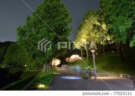 曙光兒童森林公園的夏季照明，一對夫婦在入口斜坡回家的路上的平移 77023113