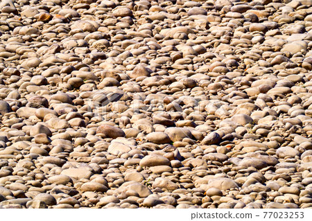 Stone River Bed, Dry River, Royal Bardia National Park, Nepal 77023253