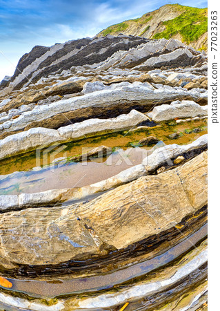 Steeply-tilted Layers of Flysch, Basque Coast UNESCO Global Geopark, Spain Steeply-tilted Layers of Flysch, Basque Coast UNESCO Global Geopark, Spain 77023263
