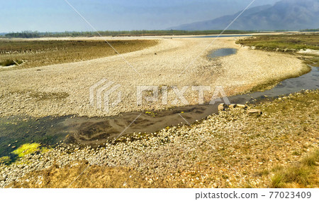 Wetlands, Royal Bardia National Park, Nepal Wetlands, Royal Bardia National Park, Nepal 77023409